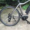 48V 350W Disc Brake E-Bike